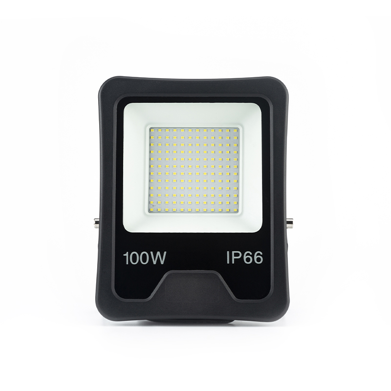 flood light 100 watt price