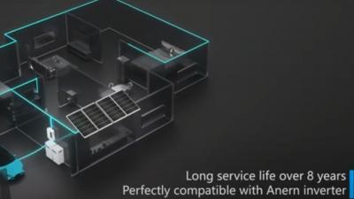 100Ah 200Ah 300Ah 25,6 V 51,2 V Настенная солнечная литиевая батарея LiFePO4 (AN-NPRO)