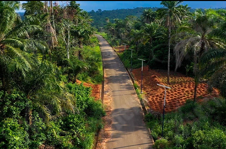 Government Federal Republic Solar Street Light Project in Nigeria
